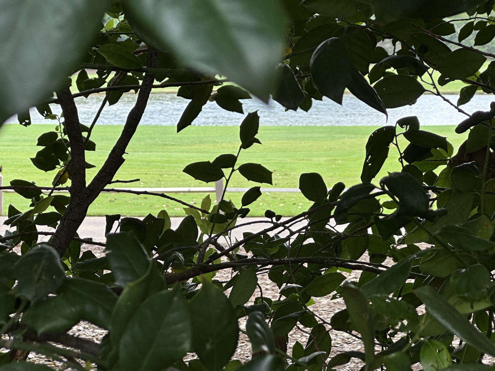 View of the Preston Trail fairway and lake beyond the property